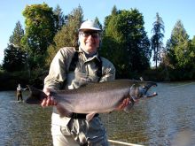 Literally an average size Coho Salmon in the Stamp River