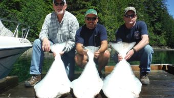 Kyuquot Vancouver Island June 28 Fishing Report Halibut