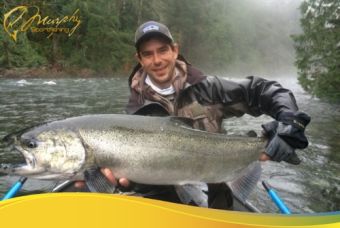 Winter in River Chinook Salmon!!