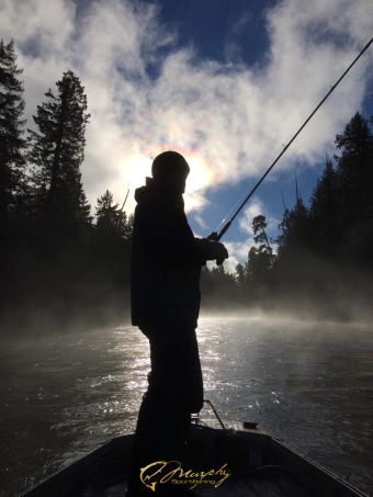 Winter Steelhead fishing on the Stamp River
