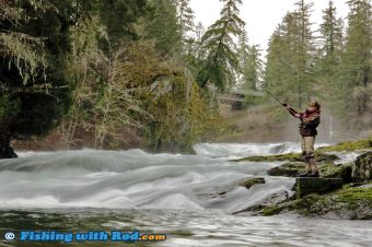 Fishing from Shore on the Sproat River