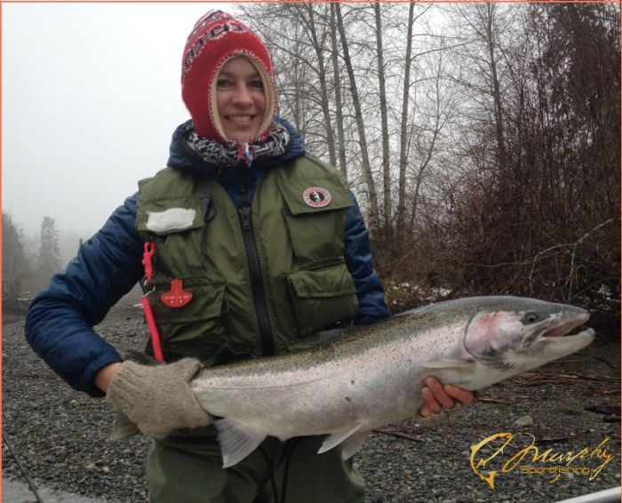 Stamp River Hatchery Steelhead Buck Jan 9 2016 14 pounds