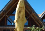 Fall Salmon & Steelhead 5 day Fish-Lodge-Dine