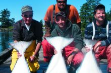 Kyuquot Sound Pacific Halibut on the Hook Video
