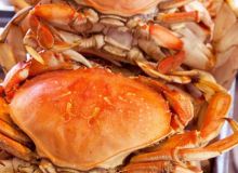 Ucluelet Cooked Dungeness Crab
