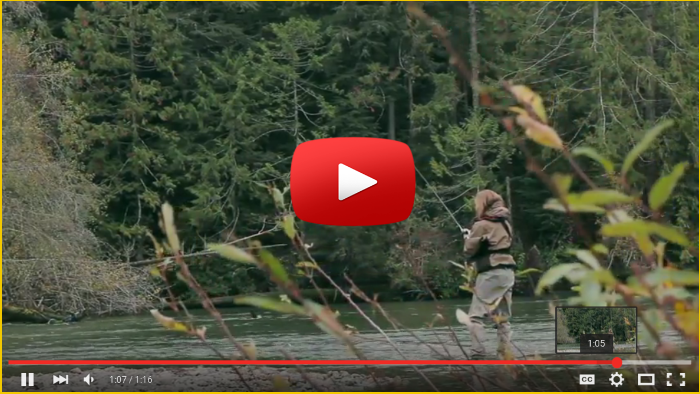 Stamp River Steelhead Fishing Video