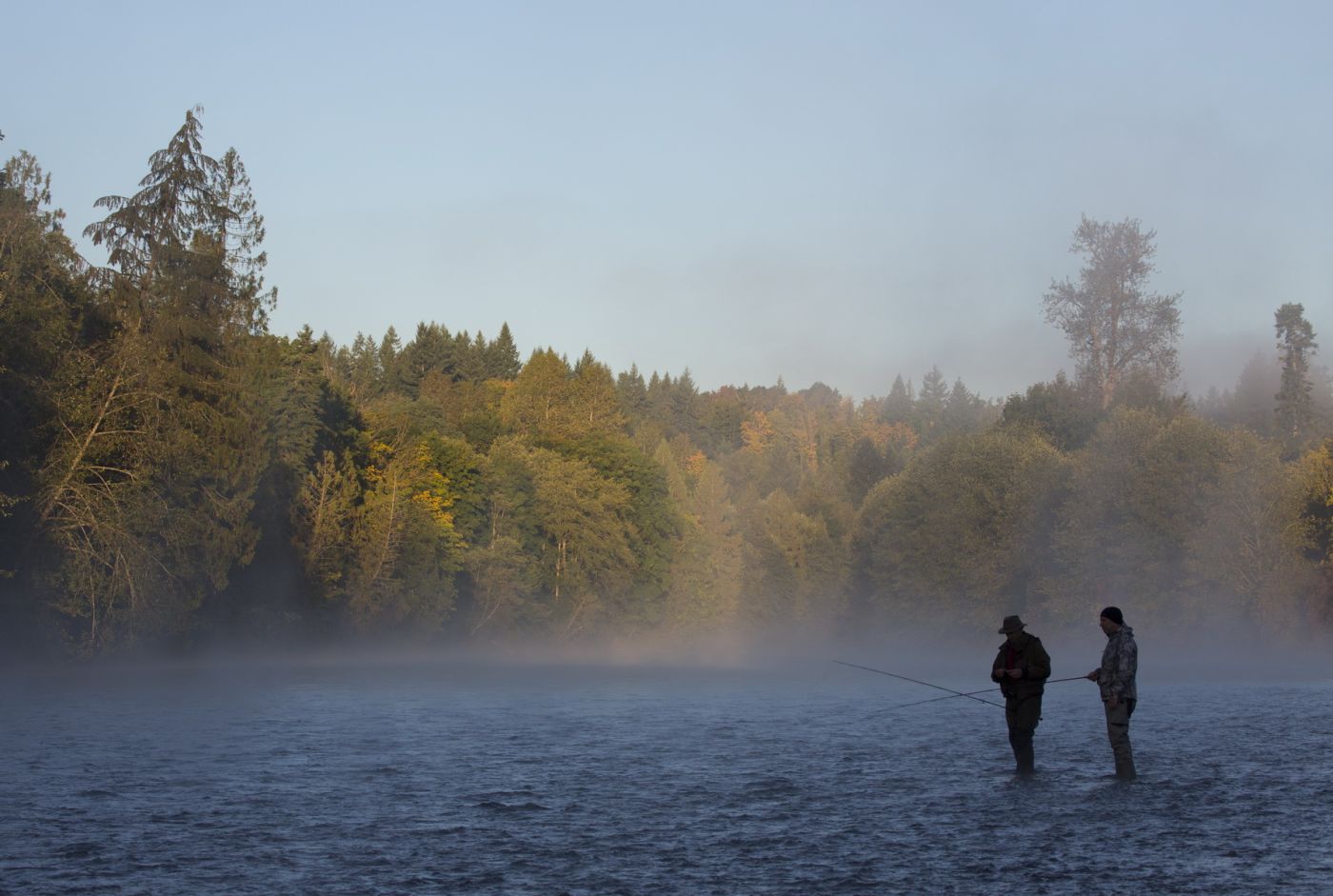 Fishing pole early morning on dark, foggy river Stock Photo by