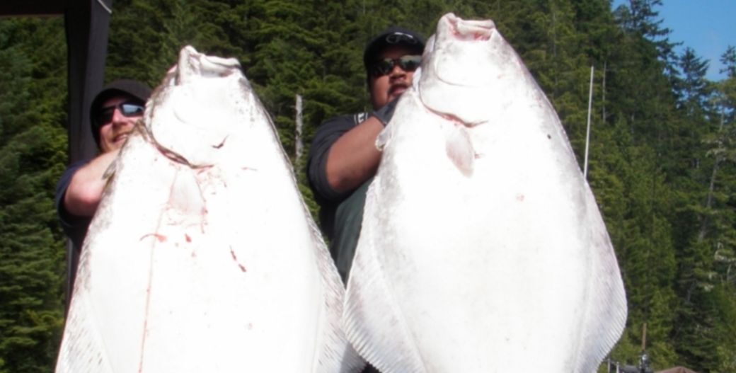 Halibut Fishing BC - Best Halibut Fishing in Haida Gwaii BC