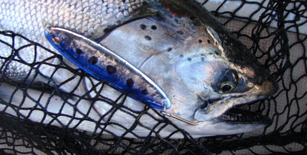 Spring - Fishing Ucluelet Salmon & Halibut
