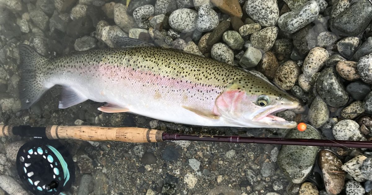 Vancouver Island BC Fishing Lodge - Mid November Stamp River Steelhead ...