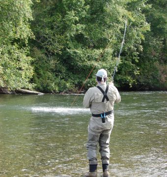 https://www.murphysportfishing.com/media2/images/crop_340_360/stamp-river-fall/stamp-river-fish-on-single-angler.jpg